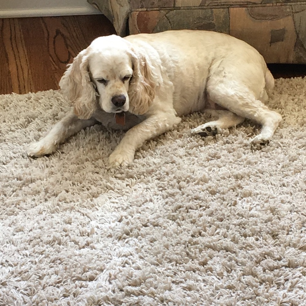 Meet your Posher, Mary